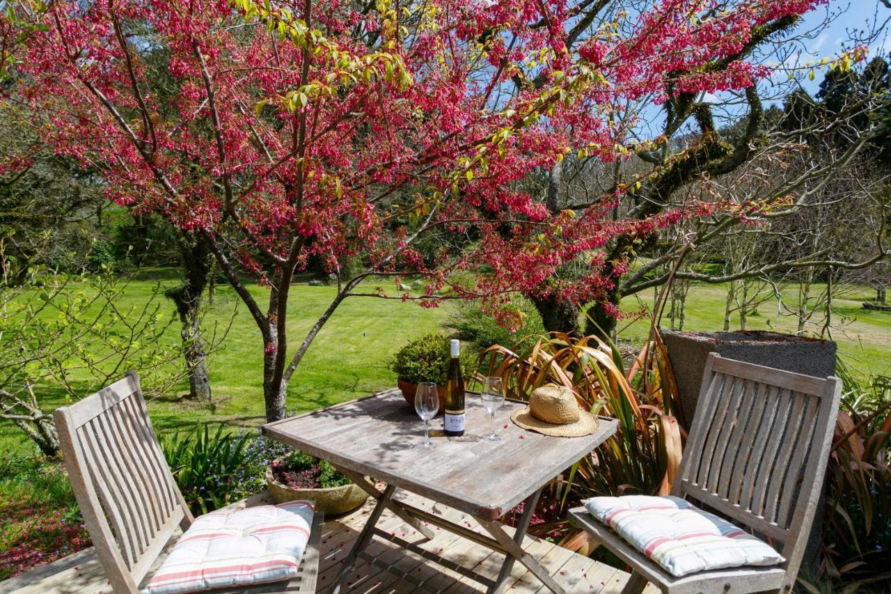 Hare'S Rest Villa Taupo Exterior photo