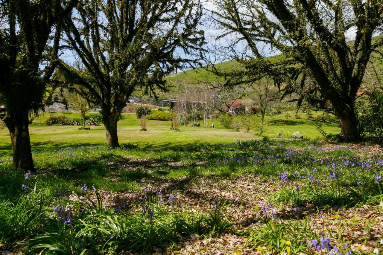 Hare'S Rest Villa Taupo Exterior photo